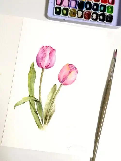 春日限定浪漫是郁金香🌷/简单水彩教程