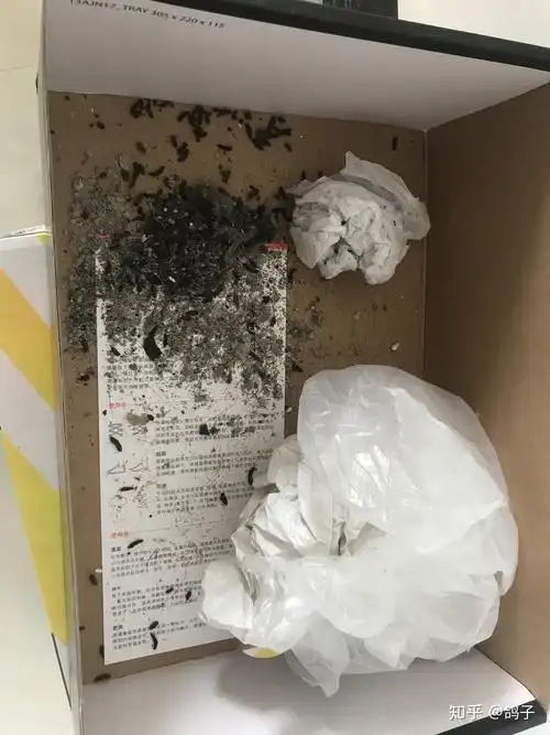 清理出来的蝙蝠粪便要是哥们儿你乐了,可以给俺公众号点个关注嘛~搜索