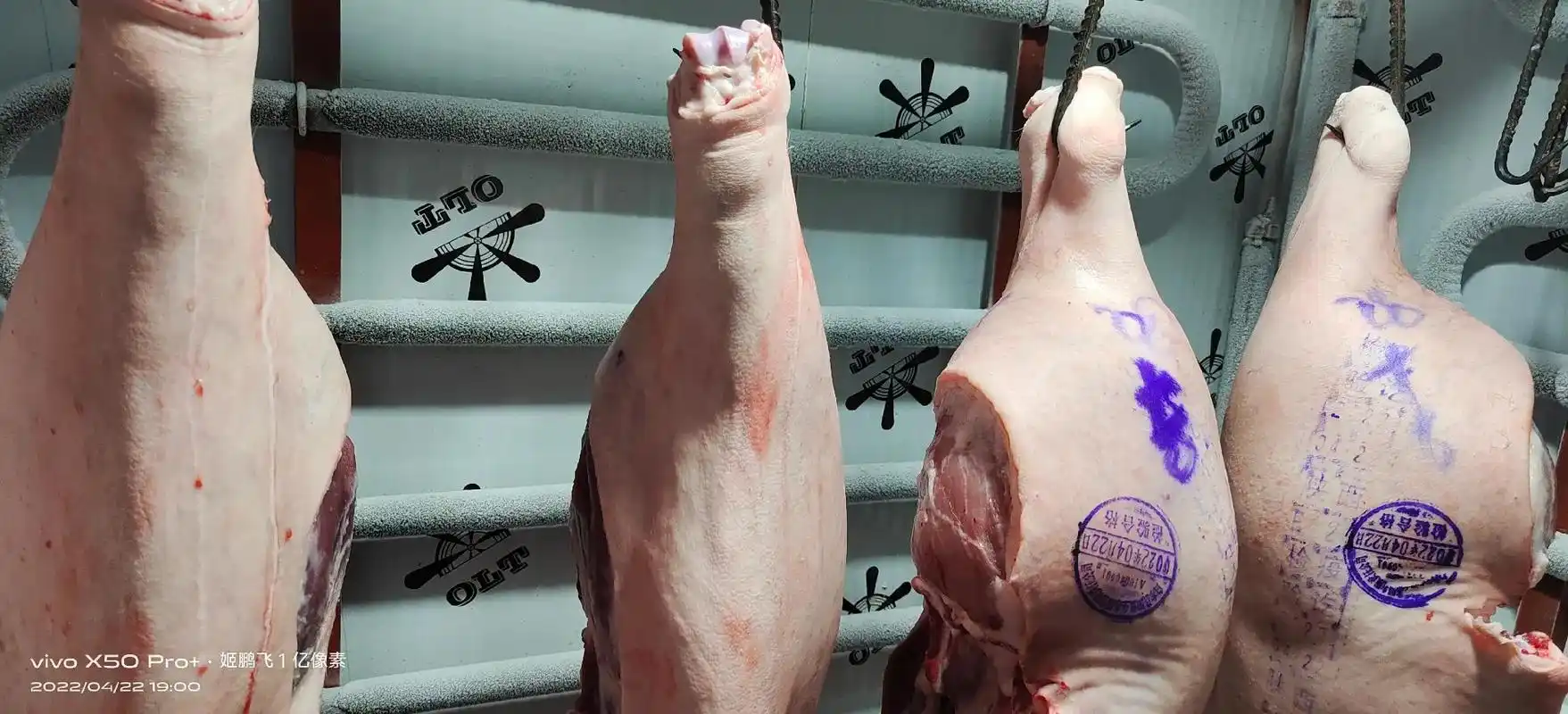 22号今杀的白水县鲜肉肉100公斤以上大猪 - 抖音