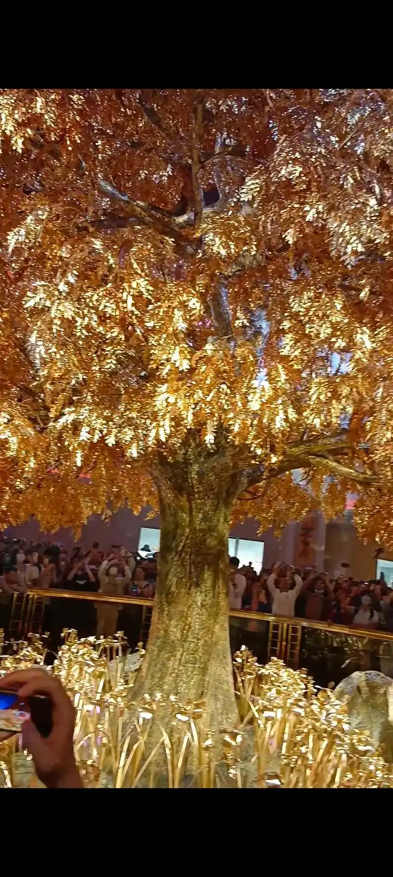澳门半岛的永利酒店,20亿打造的纯黄金树,真的亮瞎我的眼!17 - 抖音
