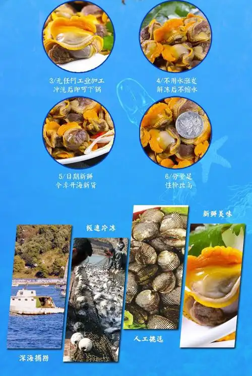 10058392527350商品名称:新鲜毛蛤肉血蛤肉干海货无沙毛蚬子肉肉海