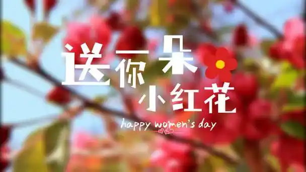 送你一朵小红花|送你一朵小红花|一朵小红花_新浪新闻