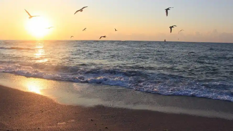 大海海滩风景图片壁纸412