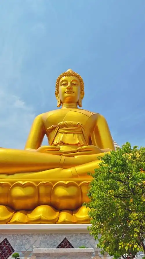 就爱旅行#早上收拾停当,驱船在曼谷城内的湄南河上,看着河岸两边的