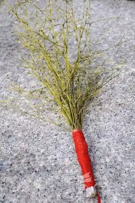 传说中的黄金棍包治各种皮痒痒你小时候和黄金棍亲密接触过吗?