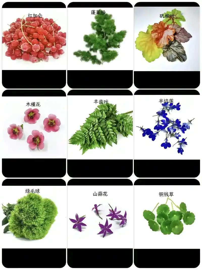 酒店盘饰花草围边大全.#图文热点来了 #美食创作者扶持计划  - 抖音