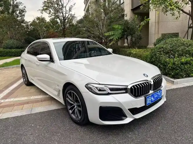 宝马 宝马5系  2021款 525li 豪华套装图片