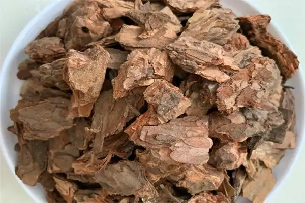 打磨发酵的松树皮松鳞