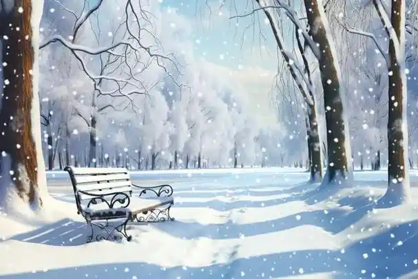 雪落下来,我开始想念你了