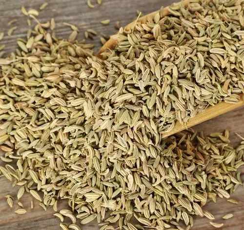 权威药业供应小茴香_中药材天地网