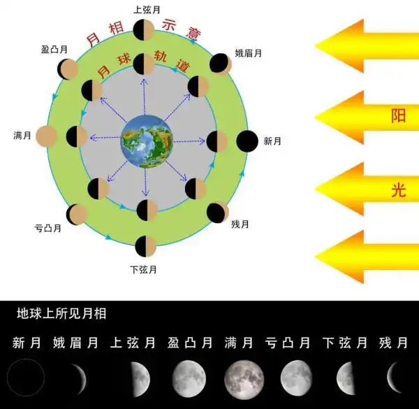 初一,这时的"新月"称为"朔";到了农历十五左右,圆圆的月亮称为"满月"