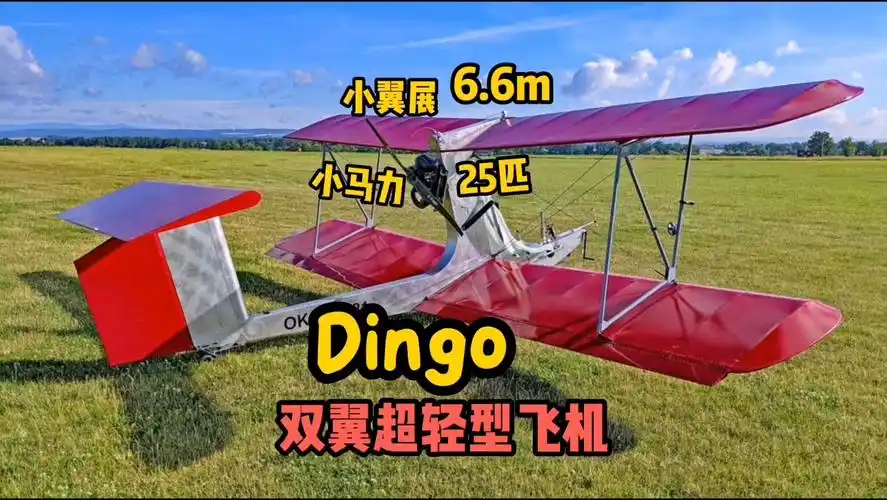 dingo超轻型飞机,它是想真的教你自制一架飞机