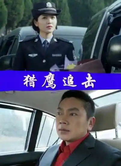 猎鹰追击_1905vip影院_高清电影院线大片在线影院_电影网_1905.com