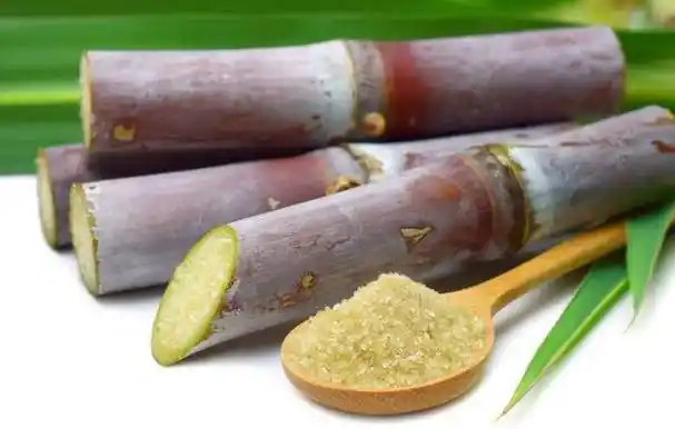 原创为什么说一根甘蔗五副药甘蔗有什么功效和禁忌一文讲清楚