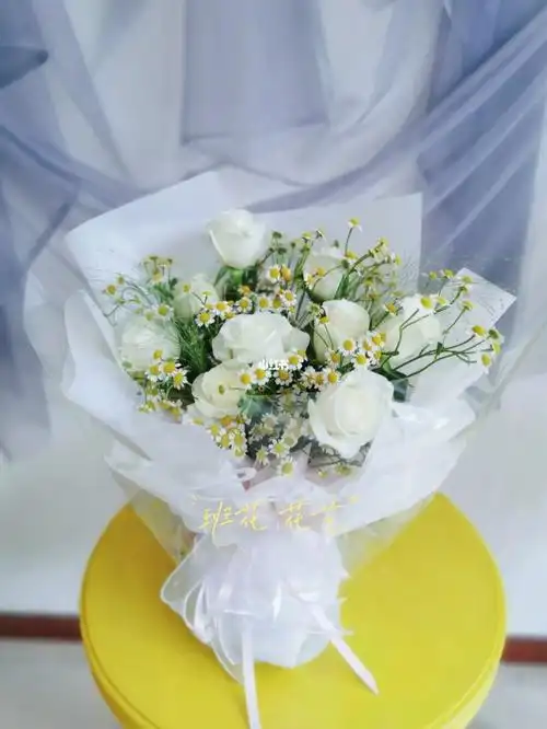 白玫瑰洋甘菊我只爱你