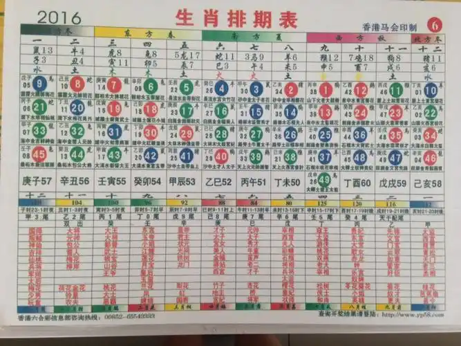 十二生肖排位图片