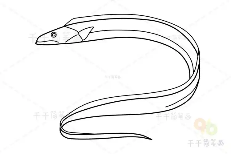 带鱼简笔画画法