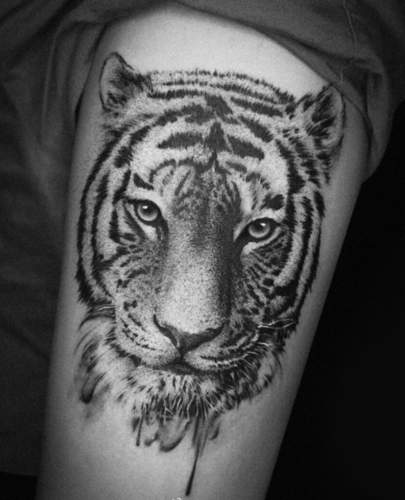 最新男女老虎纹身图案大全各式风格老虎纹身图片设计25