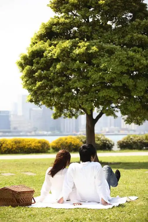 夫妻,公园,室外,爱情,亚洲,篮子,野餐,浪漫,座位,草,树,绿色,恩爱