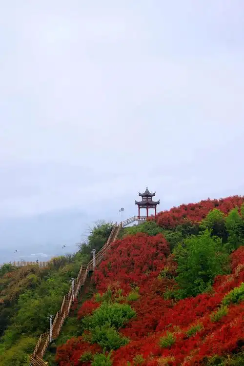 大美竹溪在四月邂逅竹溪最美湿地公园