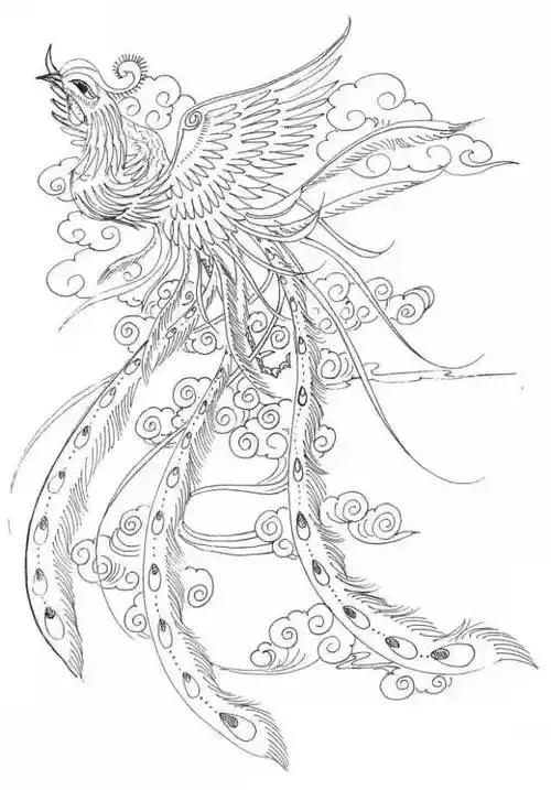 好难得才配的这么多白描凤凰图!喜欢的建议收藏 !