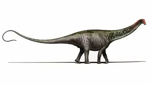 雷龙(brontosaurus)侏罗纪