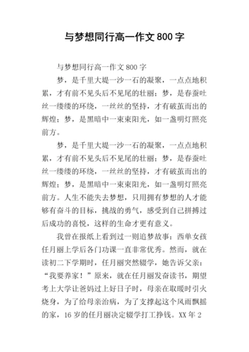 与梦想同行高一作文800字.docx