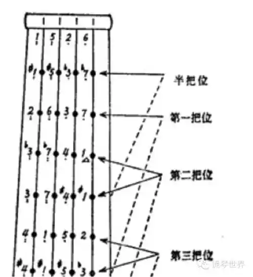 初学者请注意,大提琴音域和把位均用半音细分,四根弦定弦与小提琴一样