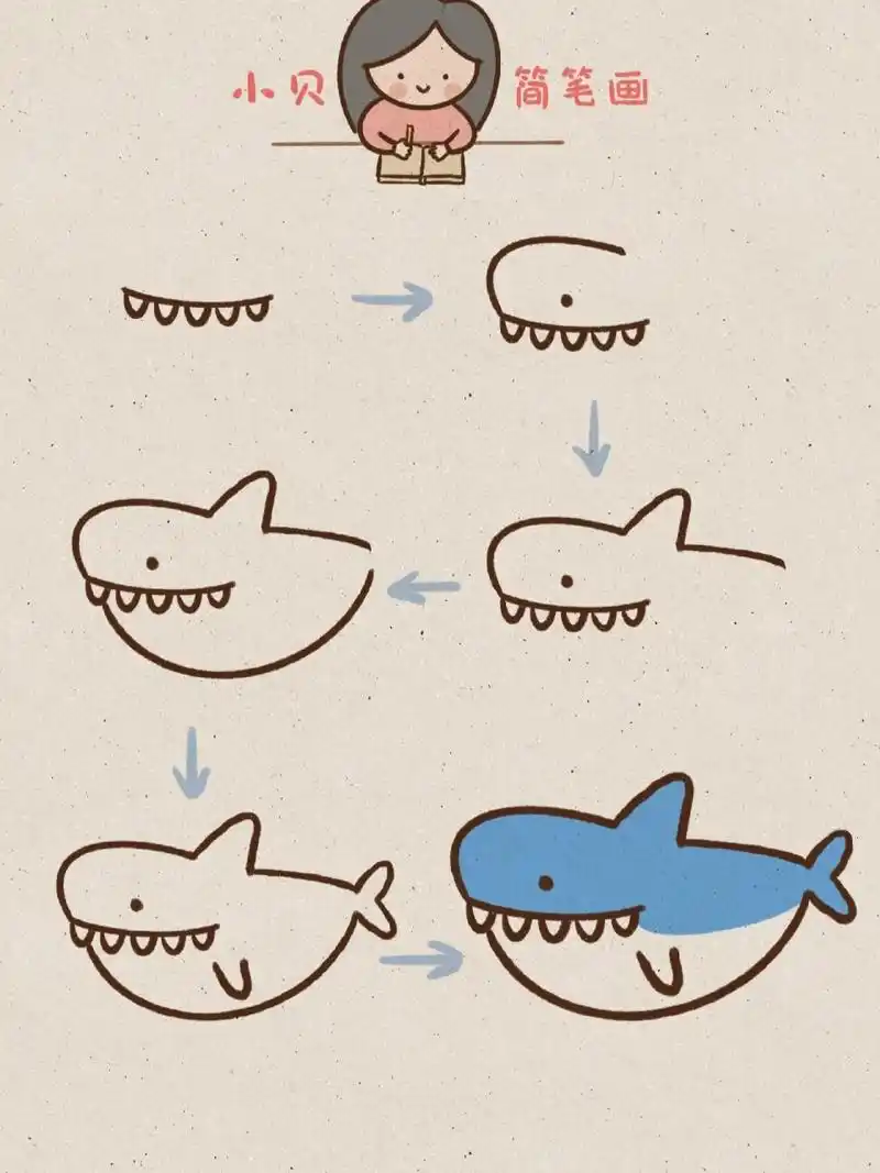 小贝简笔画-鲨鱼 鲨鱼属于脊椎动物门软骨纲(chondrichthyes)板鳃亚纲