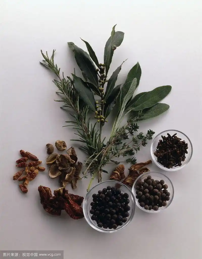 月桂枝和各种香料的特写