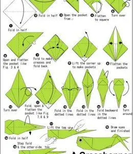 用正方形折一只蚱蜢吧!一步一步学趣味折纸