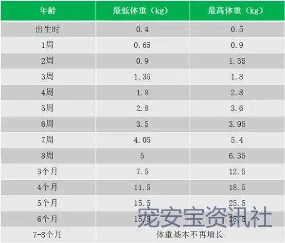 细狗品种有哪些品种图片_品种最小的狗_小品种狗犬图片及名字