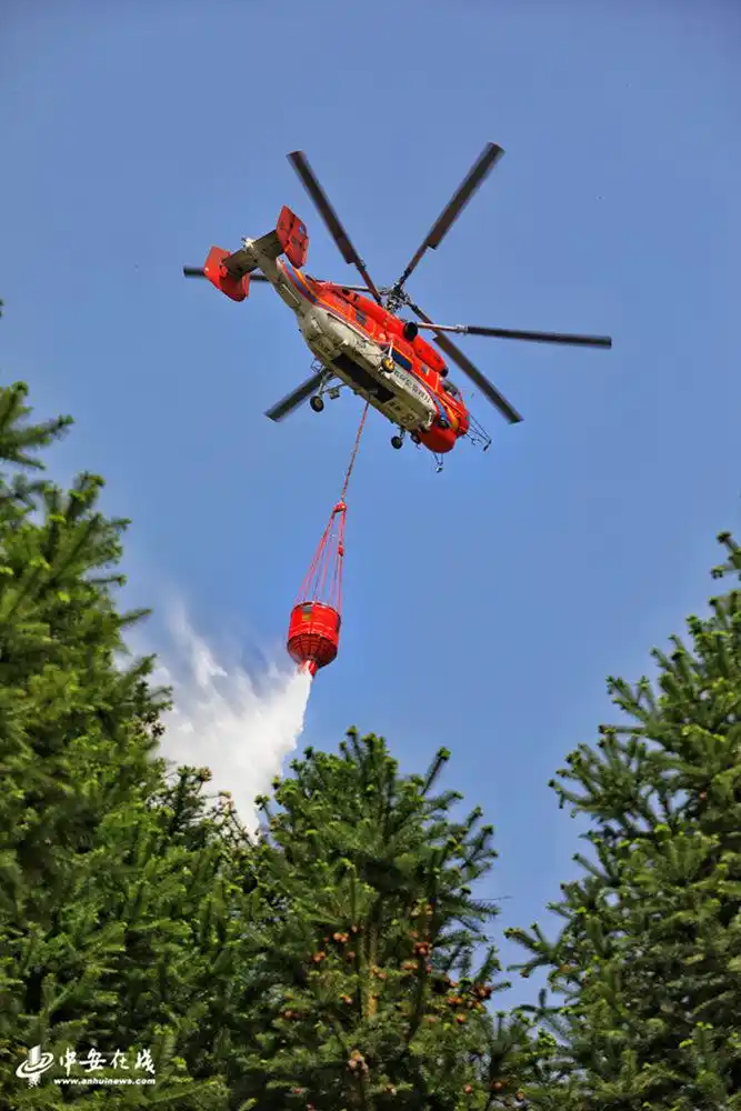 长三角省际区域举行森林防灭火应急演练【组图】