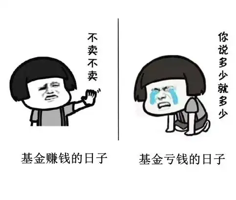 当我在闲鱼卖货时,没有一只基金是无辜的