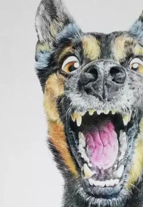 彩铅手绘二哈教程