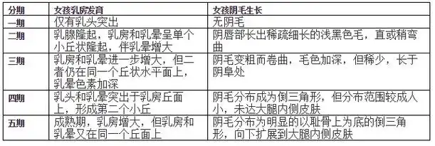 女性乳房发育标准