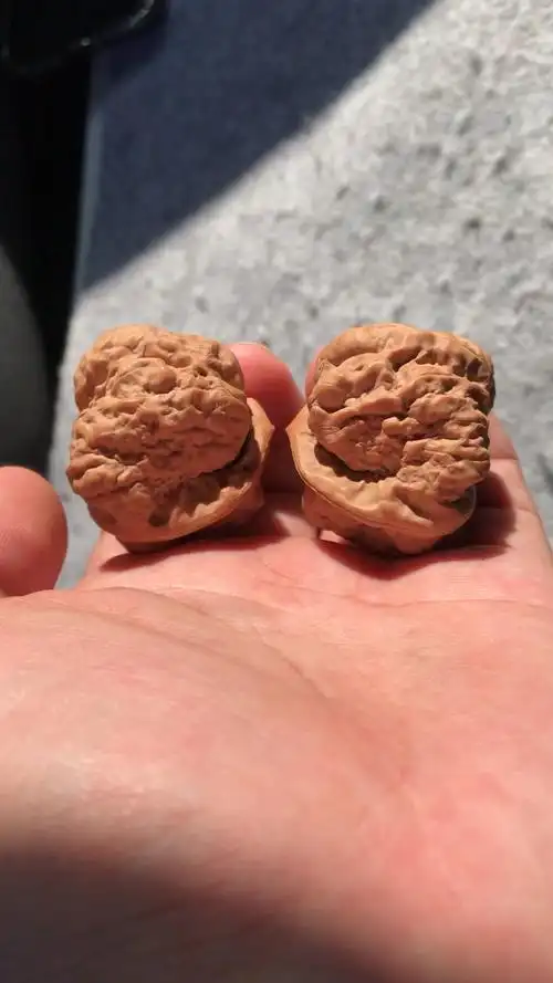 延庆蛤蟆头核桃,肌肉纹路,霸气十足!