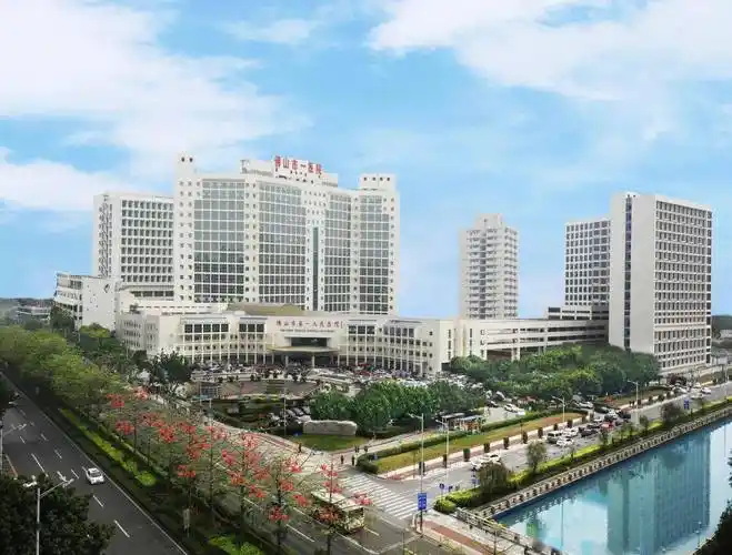 佛山一中,市一医院将谋划落地乐从?这里要大爆发了!_教育