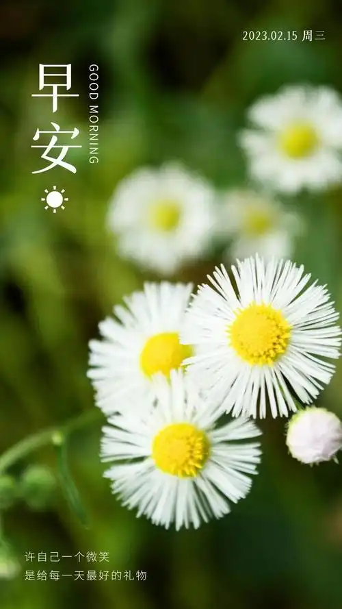 清晨发朋友圈的正能量早安片语录:为幸福拼搏,为梦想而战!