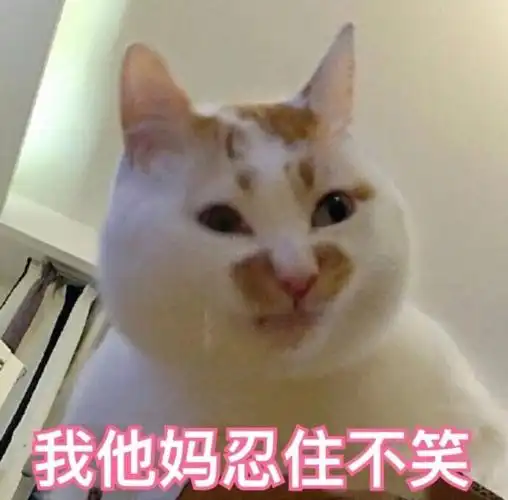我他妈忍住不笑♡ _ 图片网