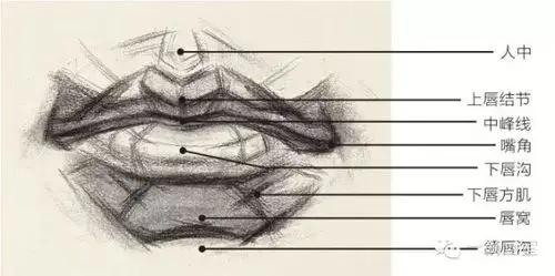 素描头像之五官嘴巴的画法
