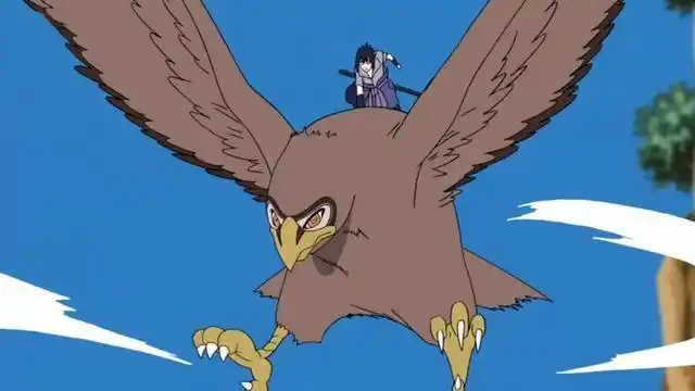 火影忍者:佐助最帅的5只坐骑,青蛇上榜,最后一只雏田也拥有!