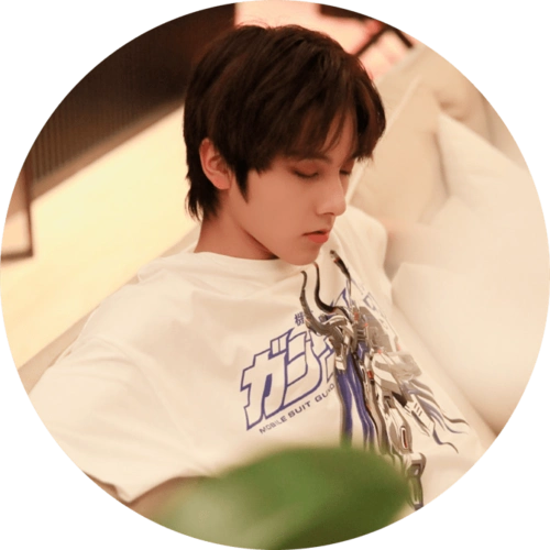 微信头像sky左林杰