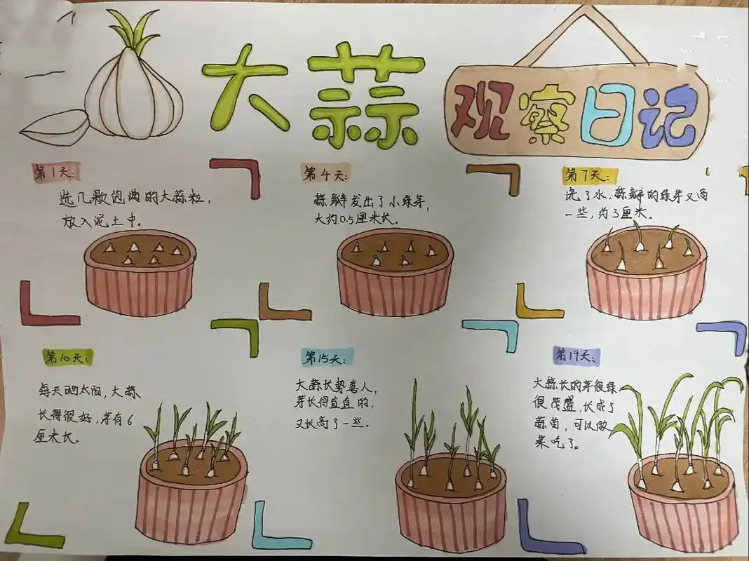 植物观察日记 #植物角 #植物记录卡 - 抖音