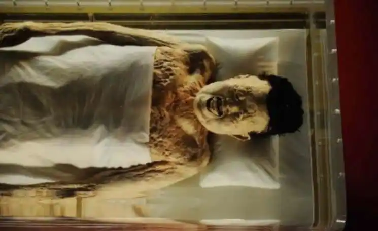 湖北发现战国古墓,稀世国宝遭破坏,专家:盗墓贼连女尸都不放过