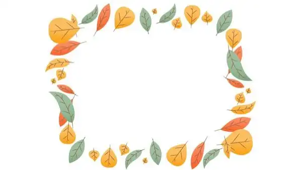 边框图片大全简单又漂亮ppt背景图片21