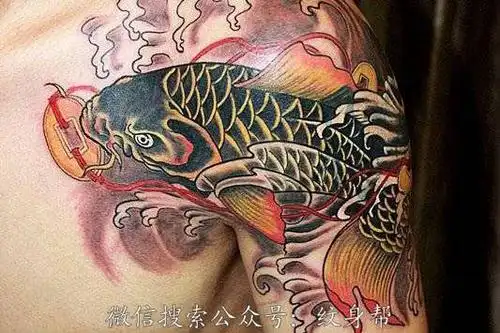 鲤鱼纹身--各部分不同风格的鲤鱼纹身图案和鲤鱼纹身寓意