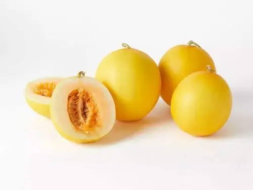 黄金蜜瓜1.68元/斤