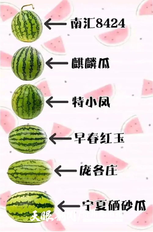 天眼关注想买到又脆又甜的西瓜品种和成熟度都要拿捏得死死的