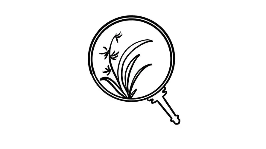 圆扇简笔画 圆扇的简笔画-养娃家